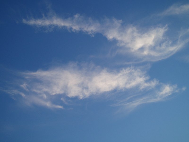 dieweltzugastbeimgrillen - 48